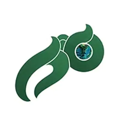 Kuru Pounamu, pounamu carver, Ōpōtiki District