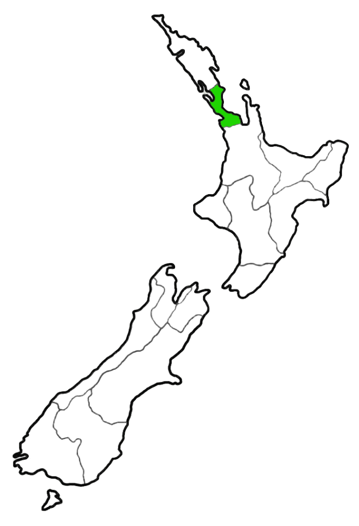 Pounamu in Auckland