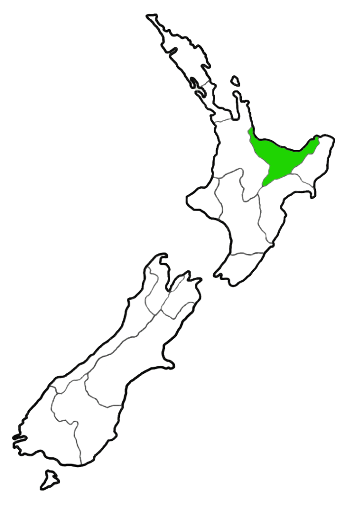 Map of New Zealand with the Bay of Plenty region highlighted