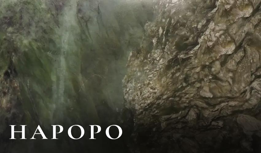 Types of pounamu Hapopo greenstone