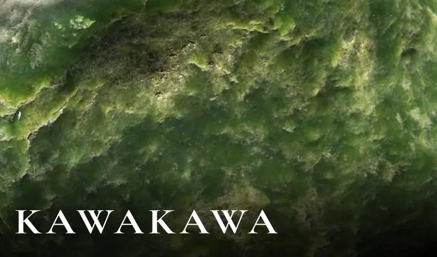 Kawakawa pounamu texture, deep green nephrite with dark inclusions