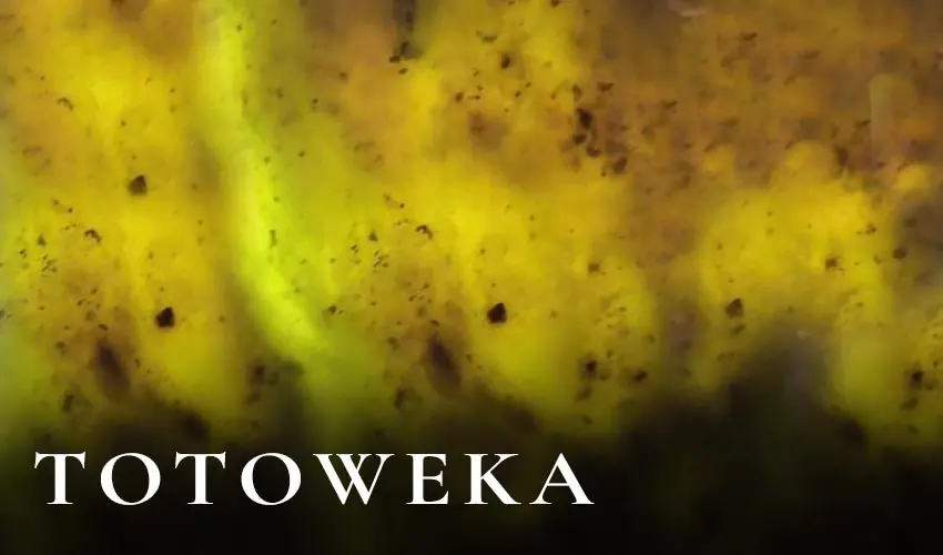 Totoweka pounamu texture, green nephrite with reddish-brown streaks
