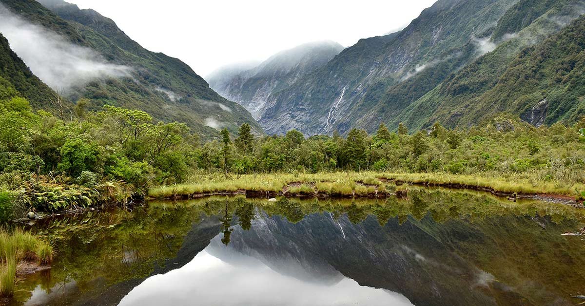 find pounamu greenstone in nature