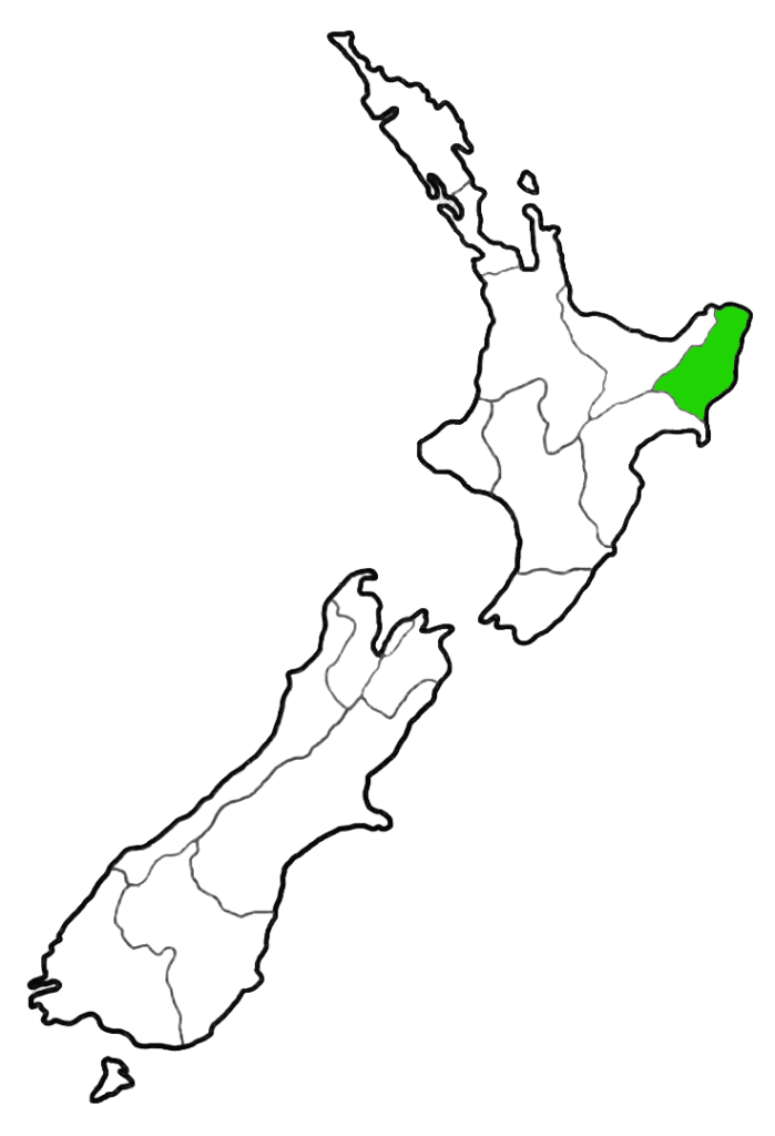 Pounamu greenstone carvers and gallery Gisborne New Zealand Tairāwhiti The Stone Studio