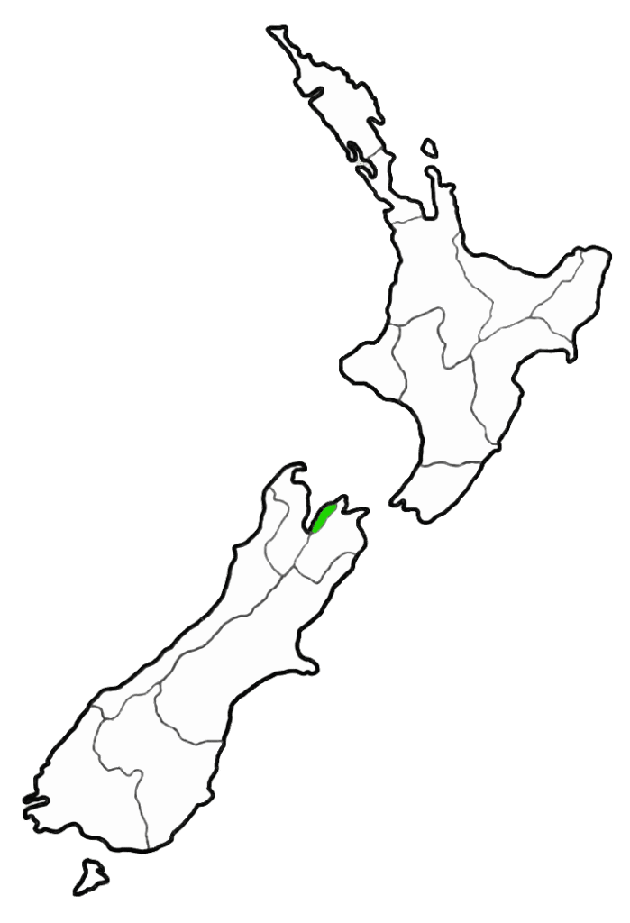 Pounamu greenstone carvers and galleries Nelson New Zealand Tasman district