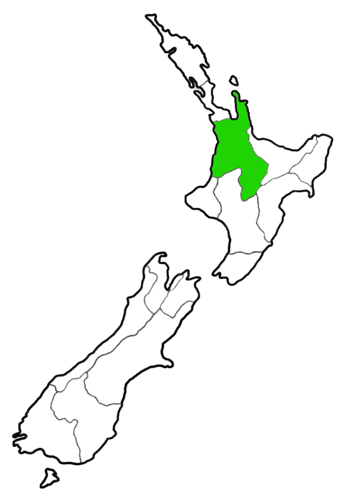 Pounamu greenstone shops and galleries Waikato New Zealand Hamilton Raglan