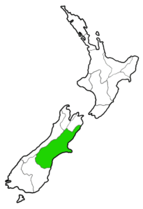 Pounamu Greenstone in Canterbury region