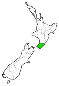 Pounamu greenstone in wellington