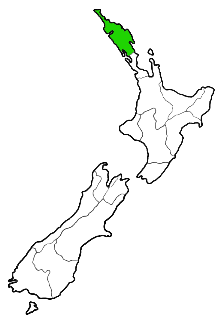 Map of New Zealand with the Northland region highlighted