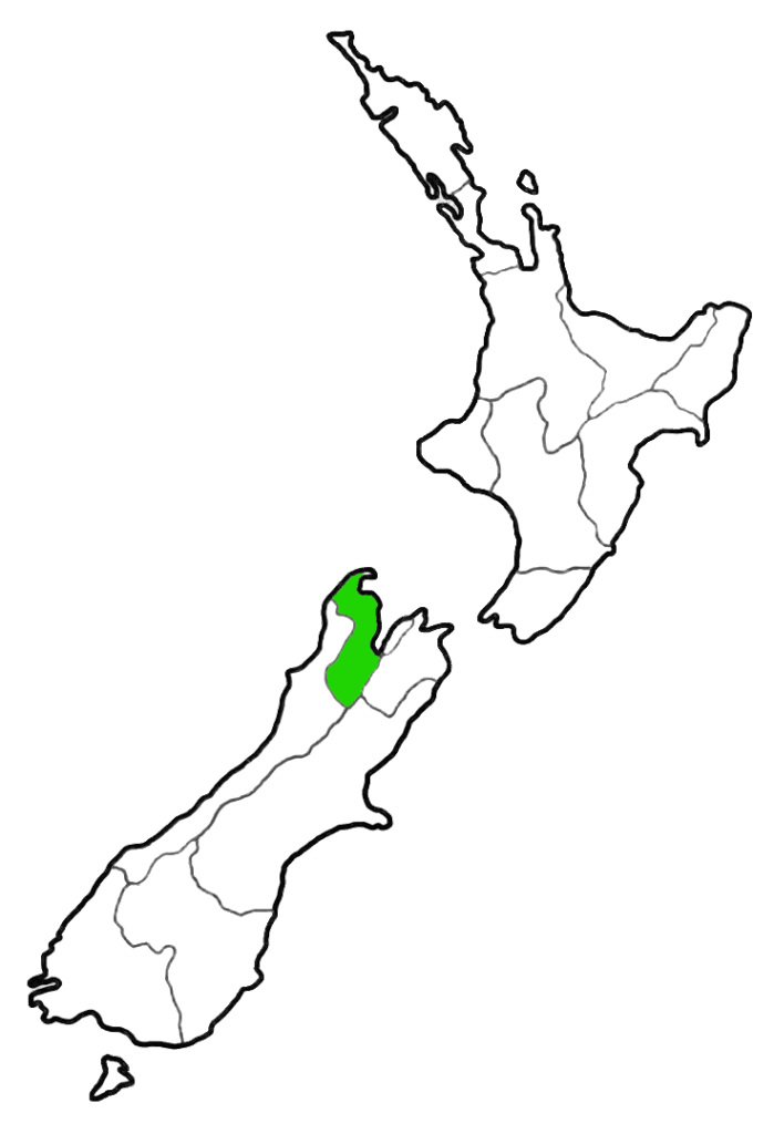 Map of New Zealand with the Tasman region highlighted