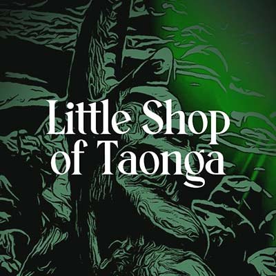Little shop of taonga christchurch new zealand