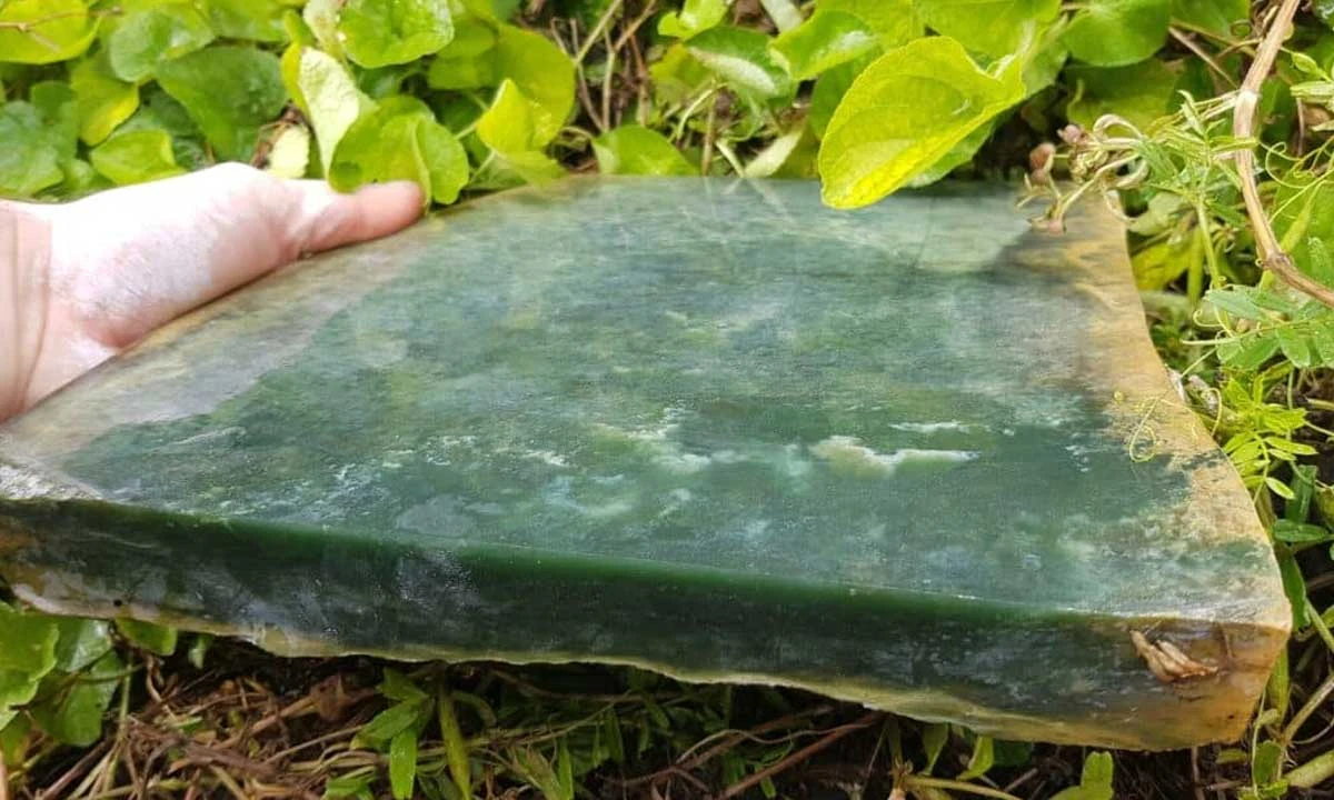 Large raw slab of pounamu held in a hand among green leaves, stone used by Campbell Carving in Christchurch
